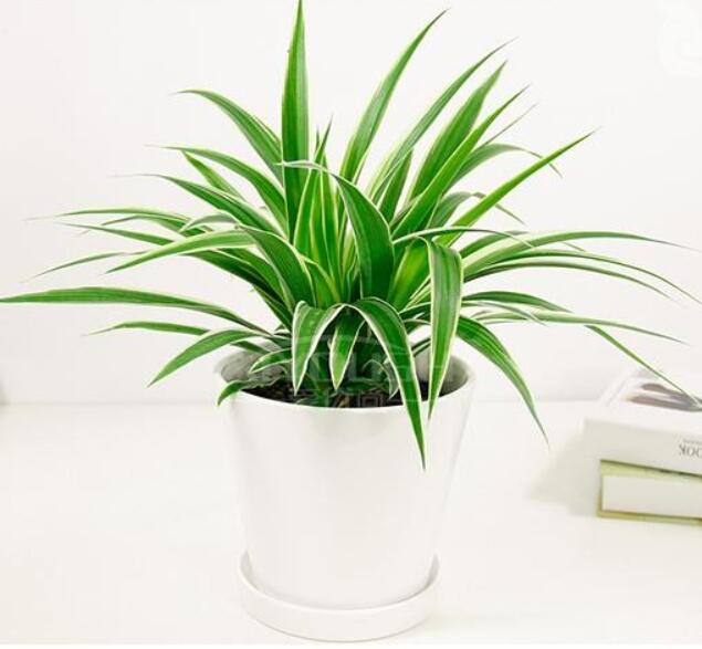 展台搭建 展台搭建