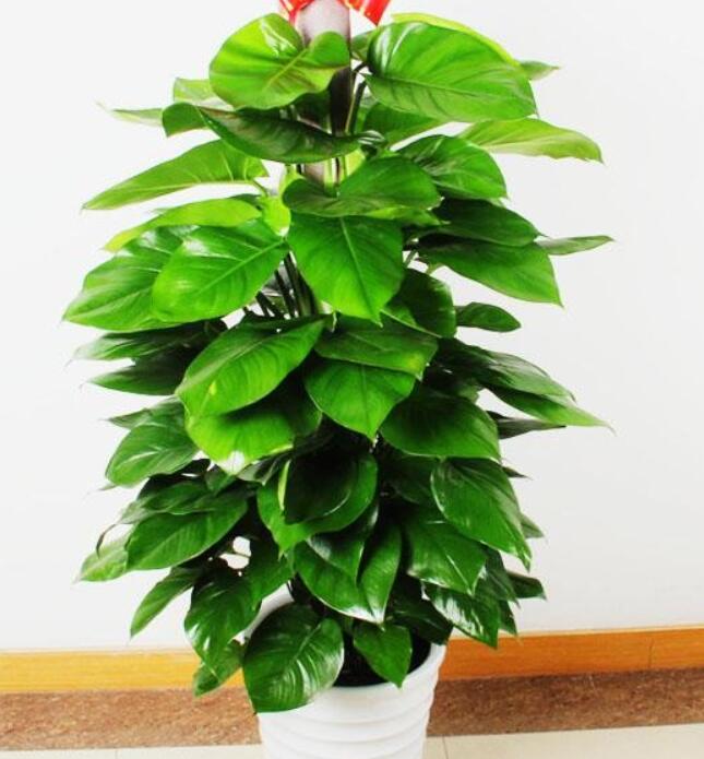 展台搭建 展台搭建