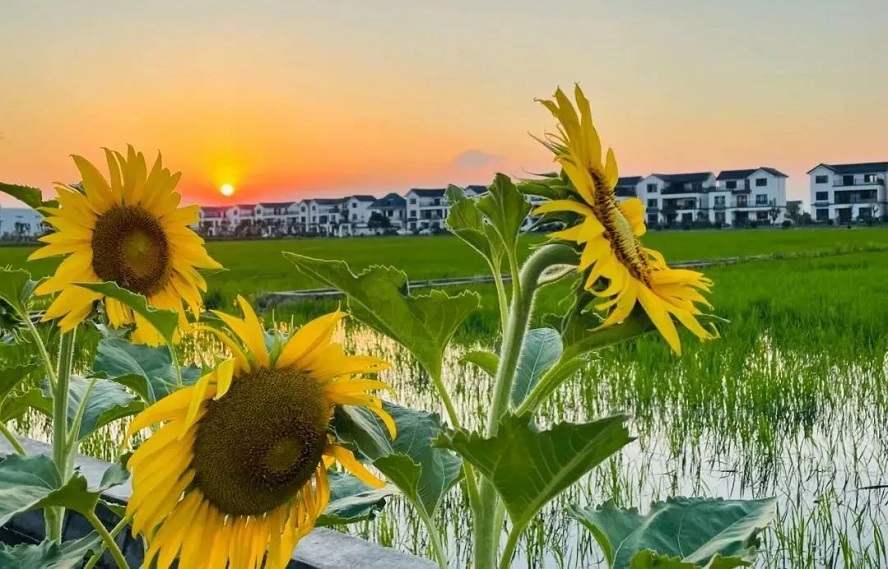 展台搭建 展台搭建